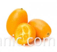 kumquats fresh